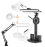Desk Lamps